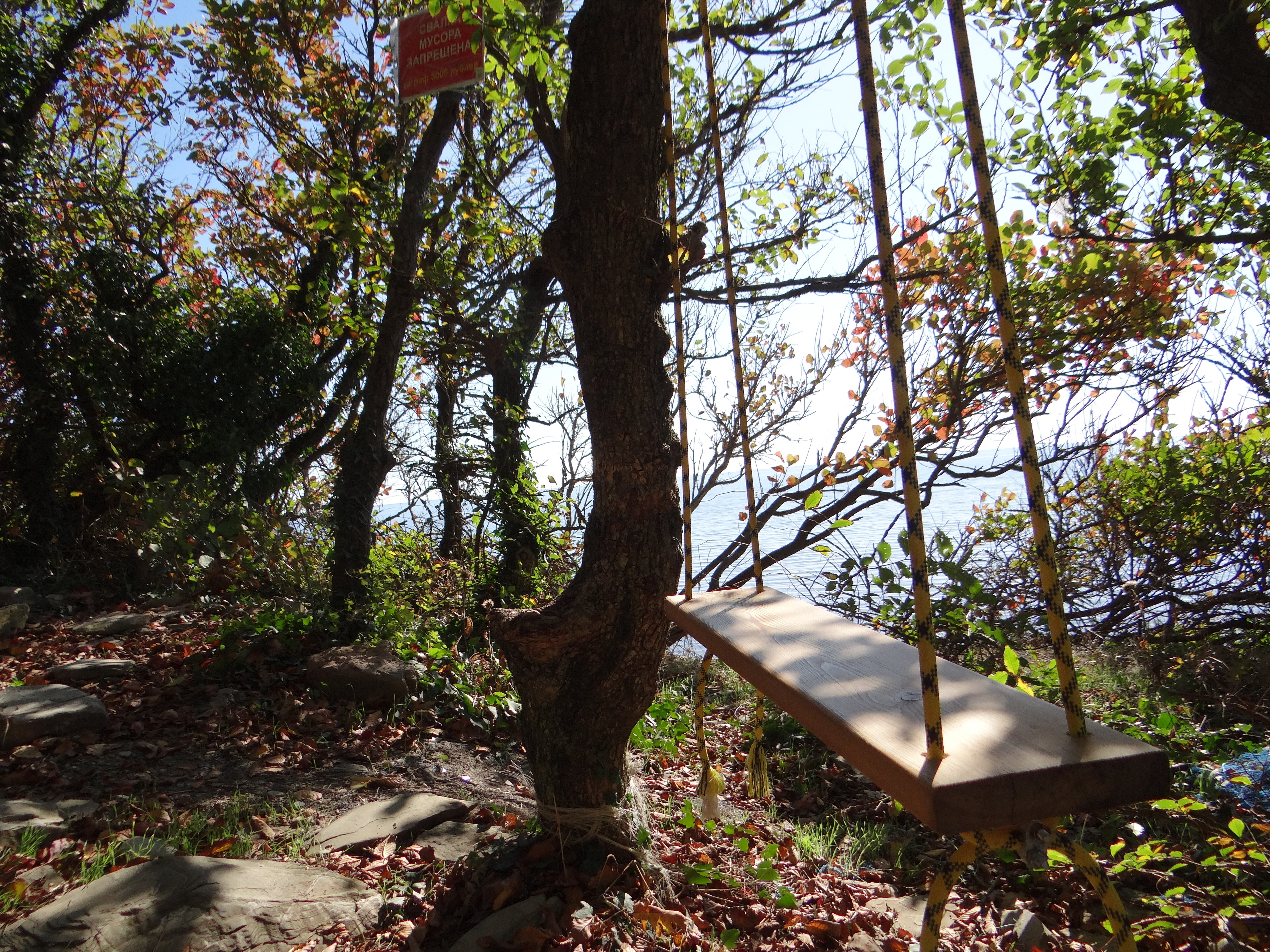 Фото Просто Рай