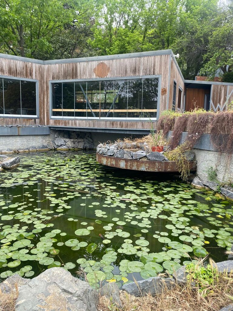 Coffee store Mystickfalls coffee, Istanbul, photo