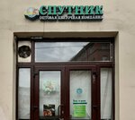 Sputnik Flowers (Borovaya Street, 21), flower shop