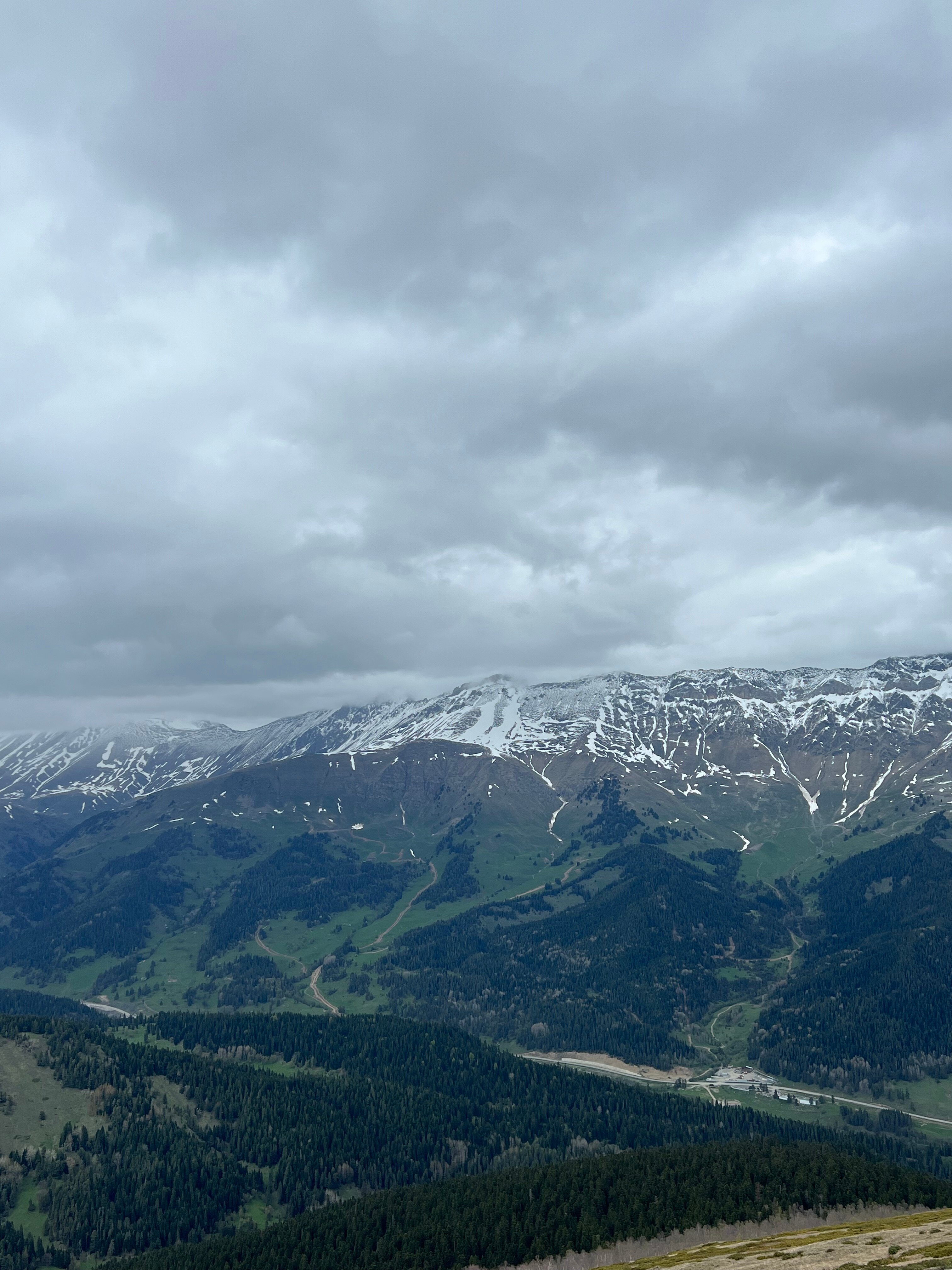 Фото КипариС