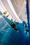 Freediving Federation of the Ryazan Region (Esenina Street, 15), extreme sports center
