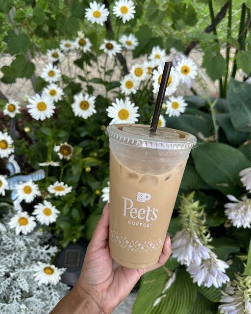 Coffee shop Peet’s Coffee, Abu Dhabi, photo