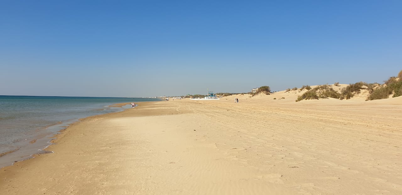 Фото 4 Сезона