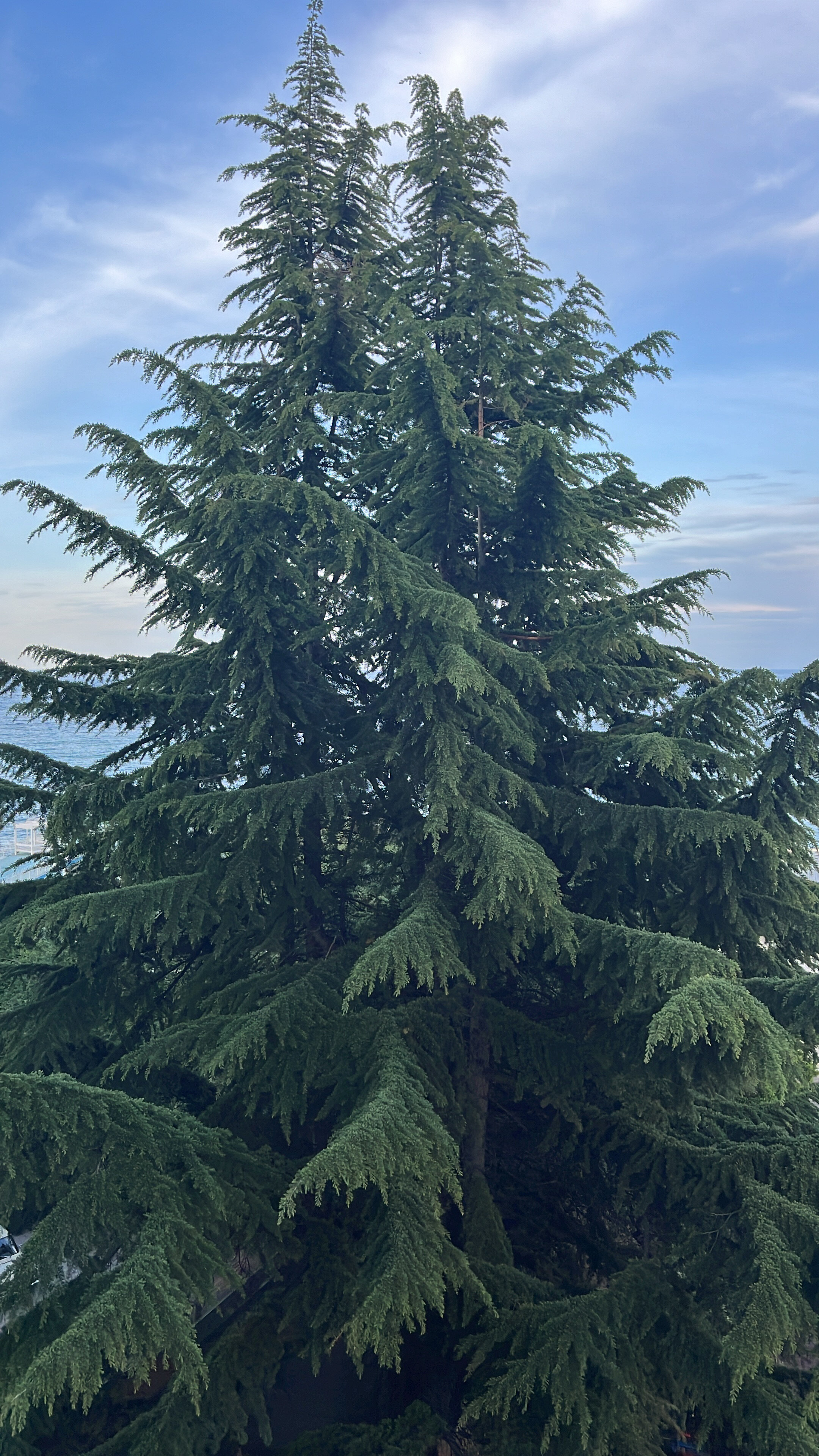 Фото Art House Hotel