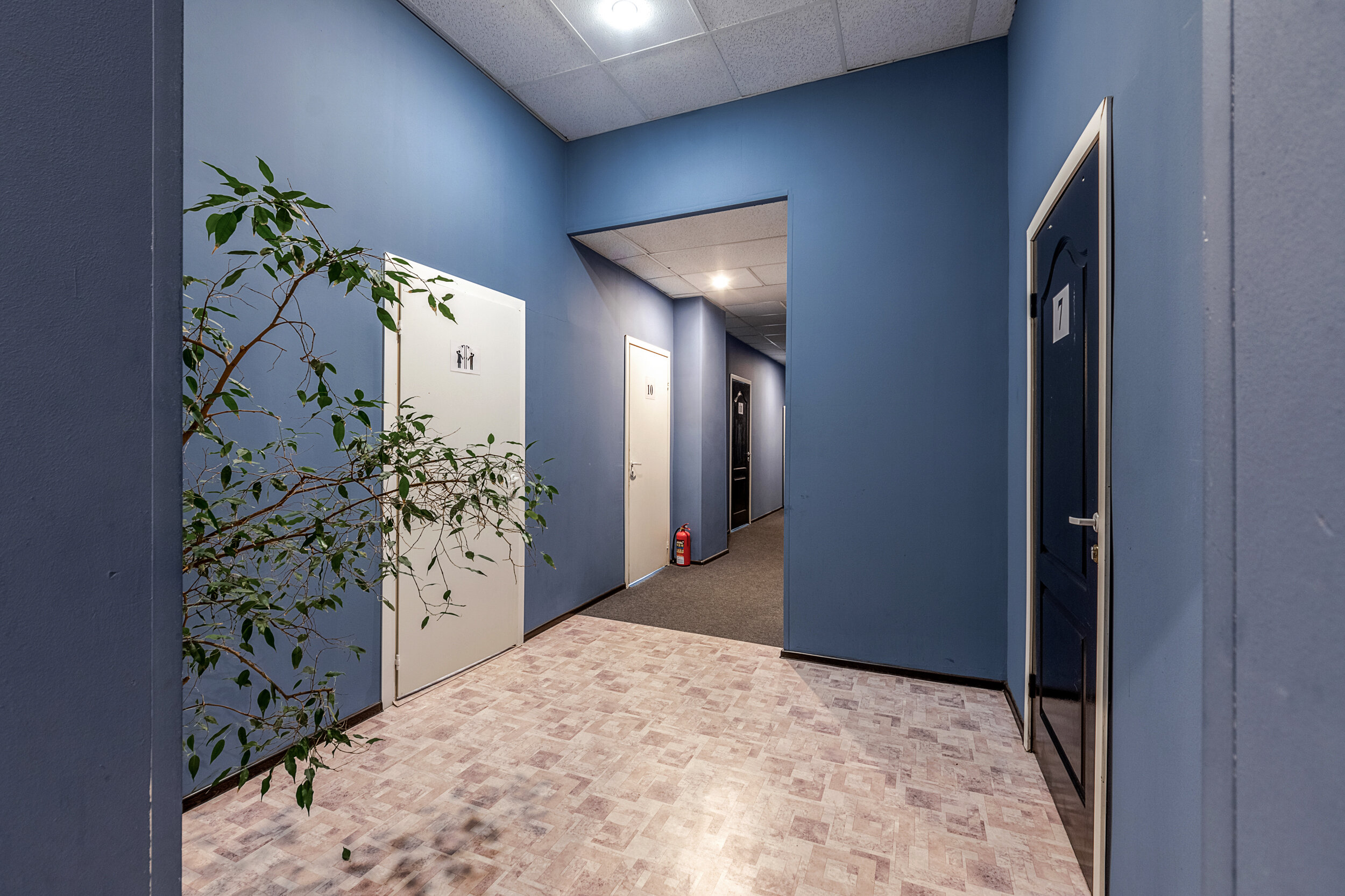 Фото Терраса 10л