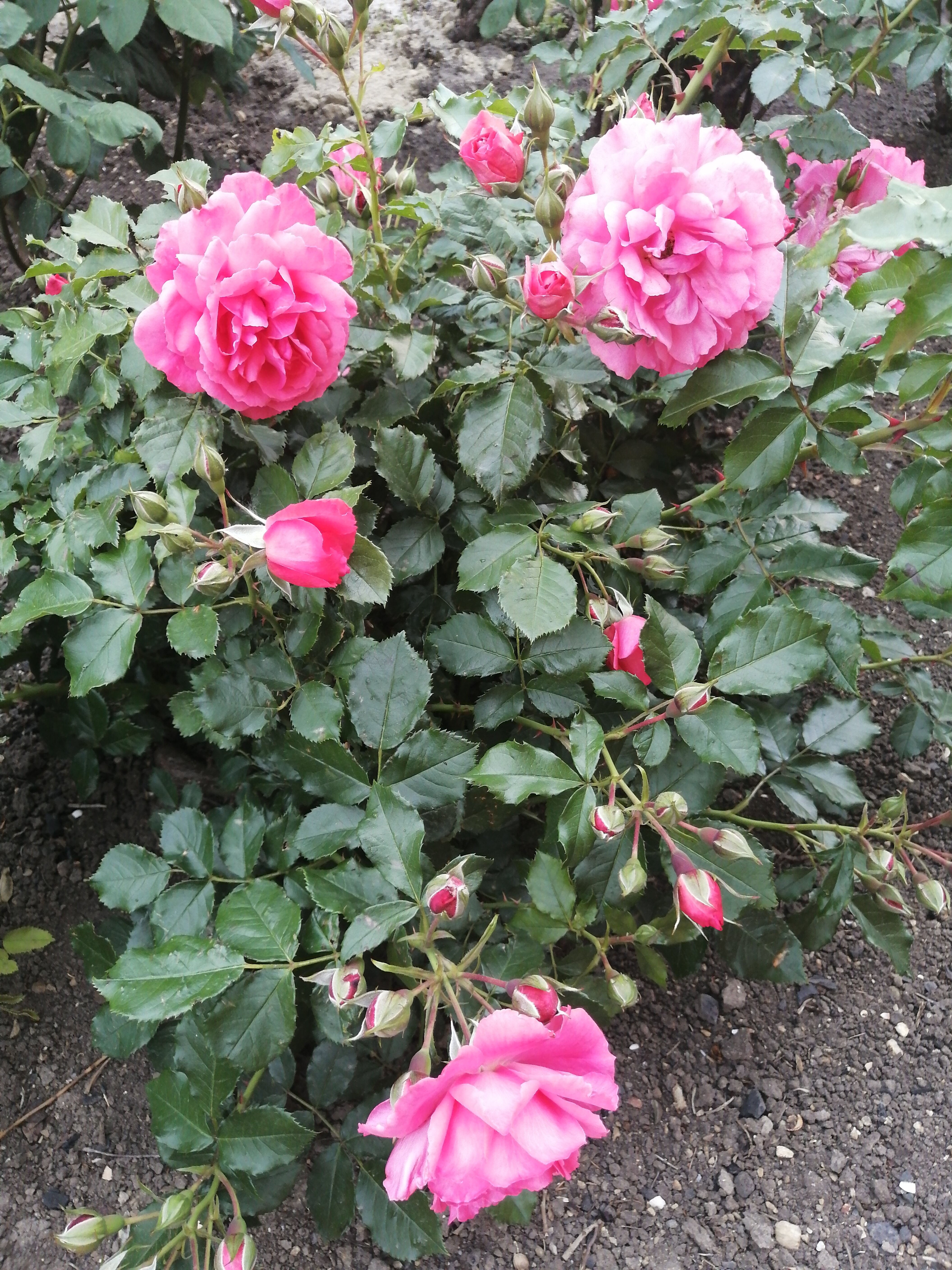 Фото Гостевой дом Югра на Приморском