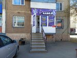Purple Zebra (Vasılkovskıı yqsham aýdany, 1А) ، متجر بيع العطور ومستحضرات التجميل