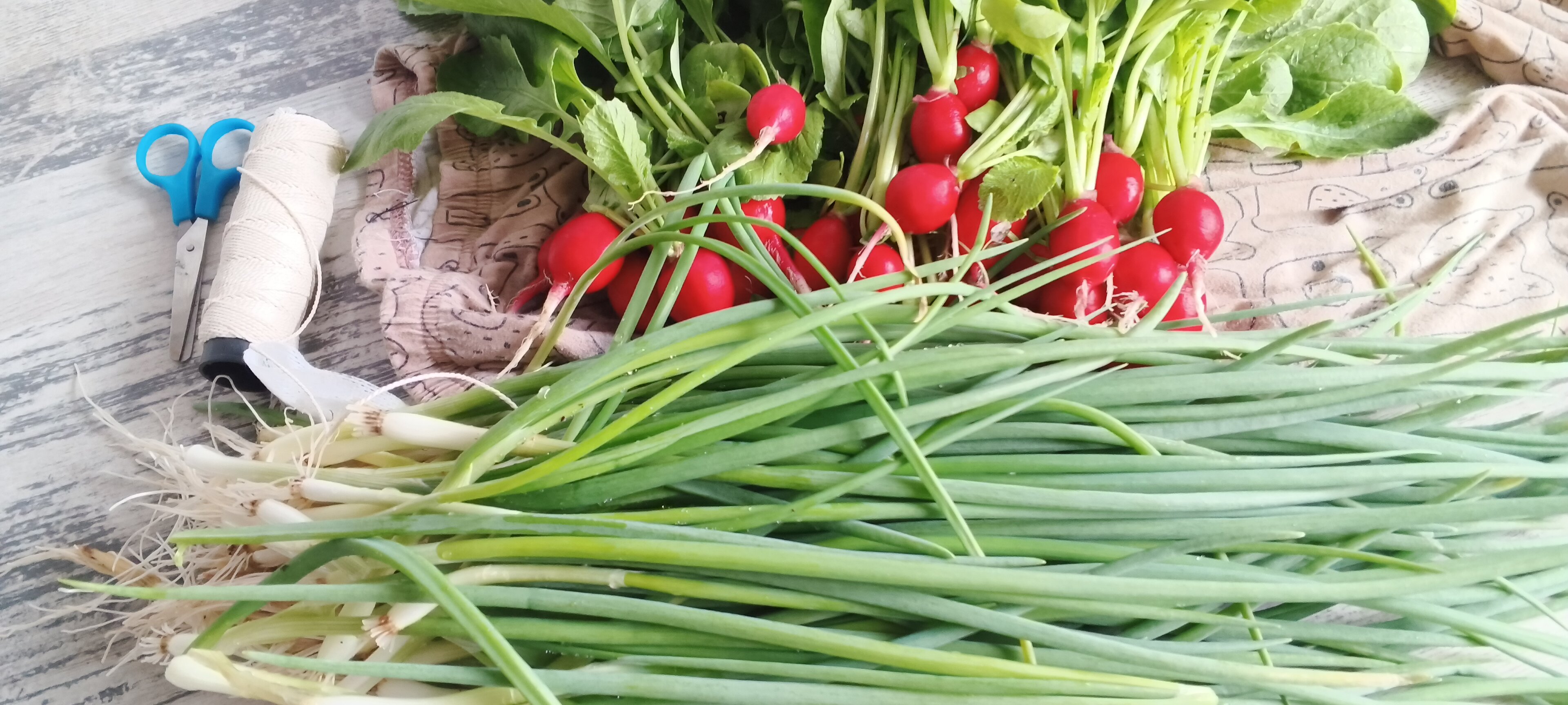 Фото В гостях у Молли