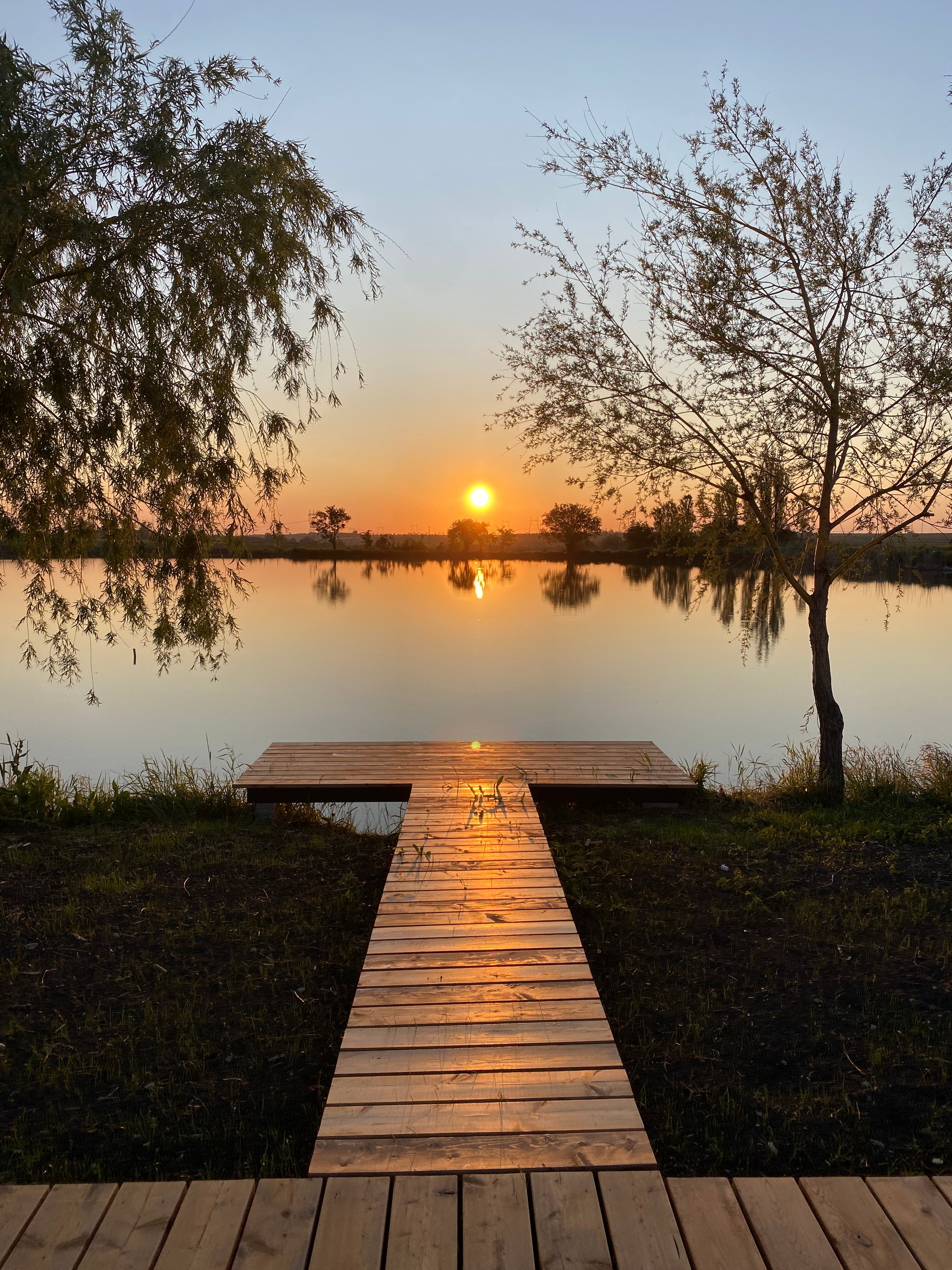 Фото Терра23