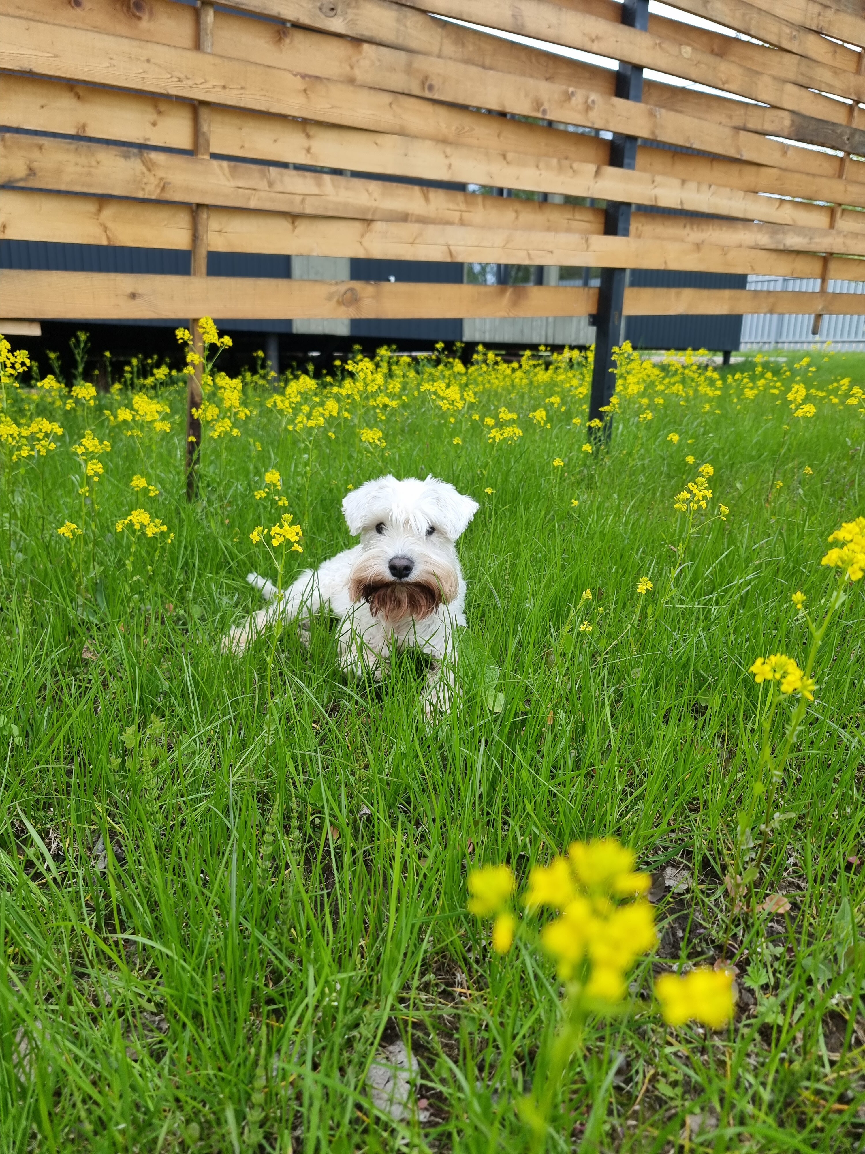 Фото Friends & Family