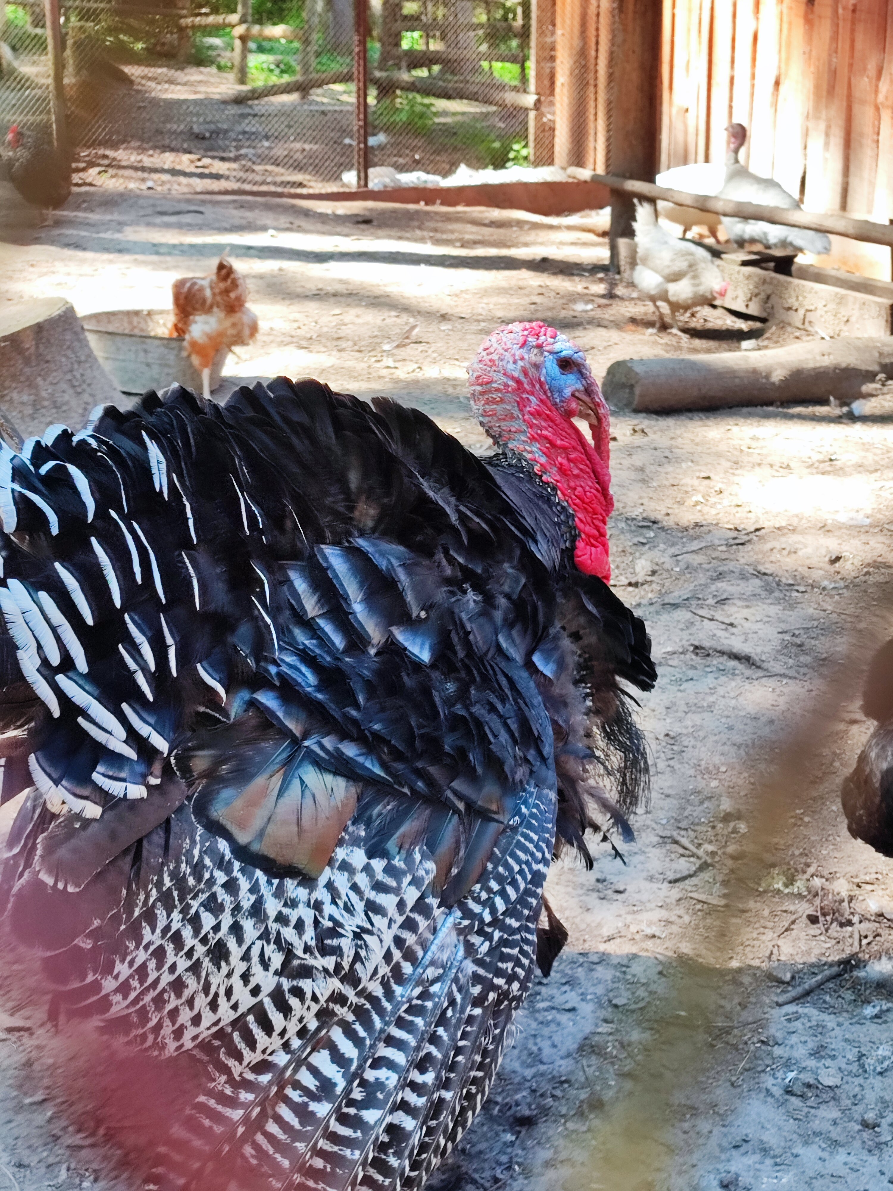 Фото Волжский сон