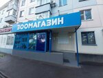 Pet Store (Jeńis dańǵyly, 57), pet shop