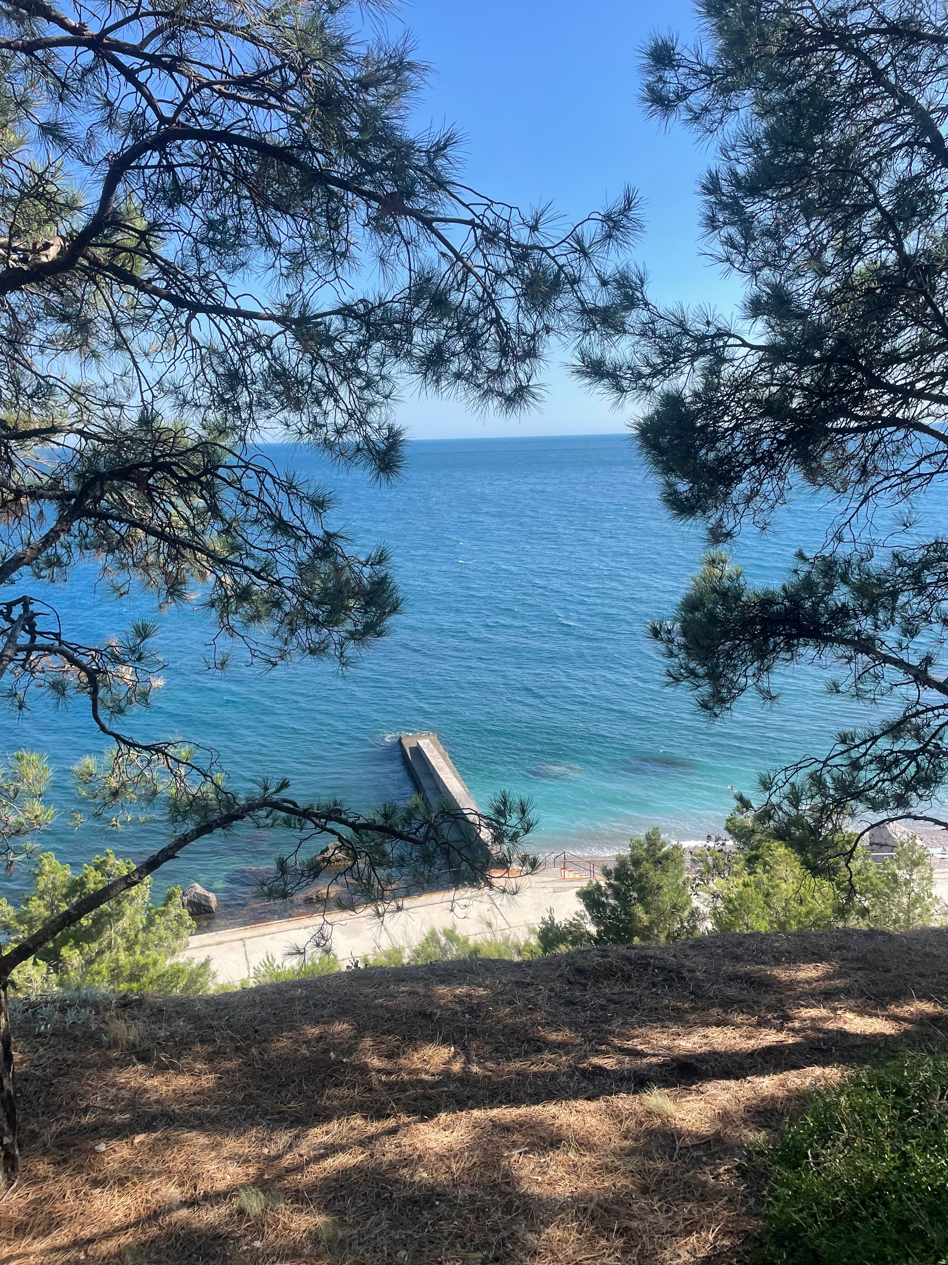 Фото Travel wake