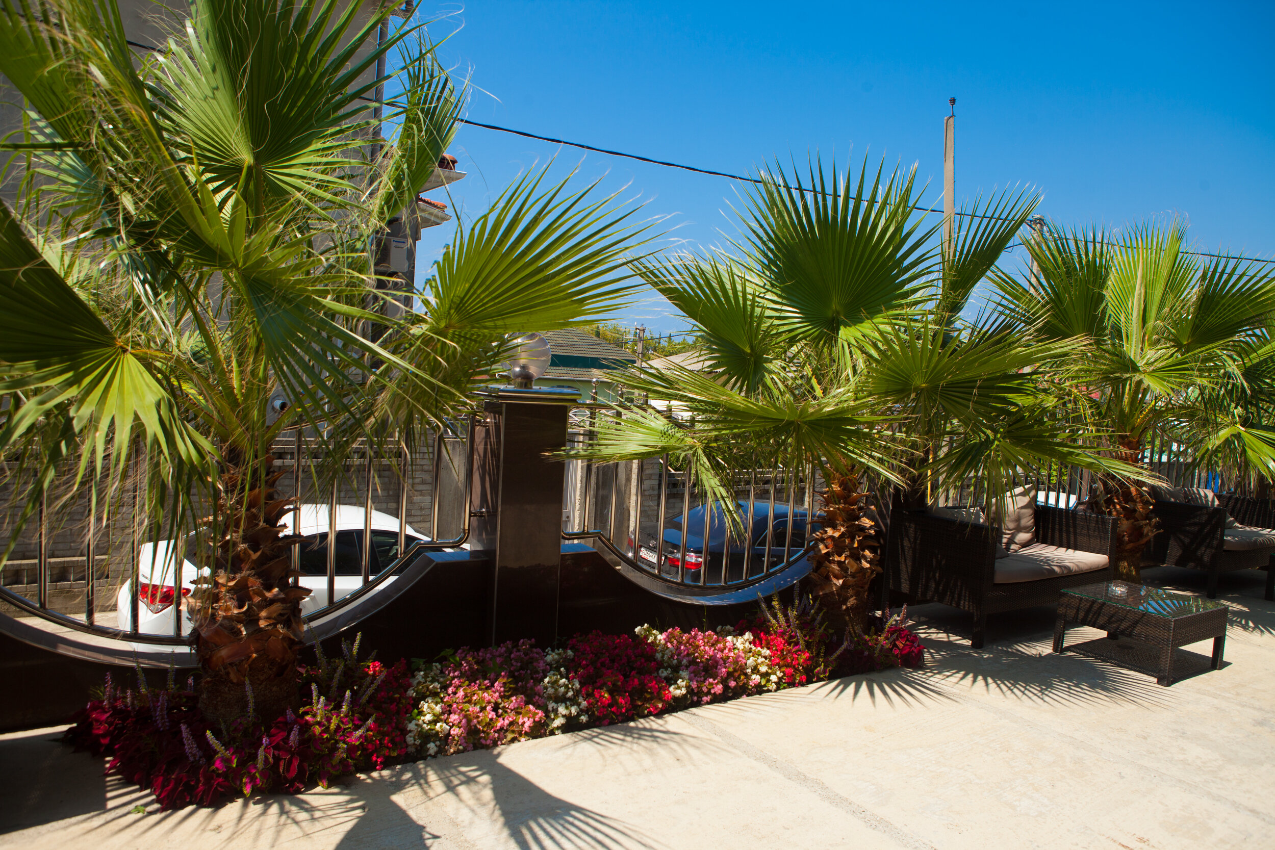 Фото Энсино