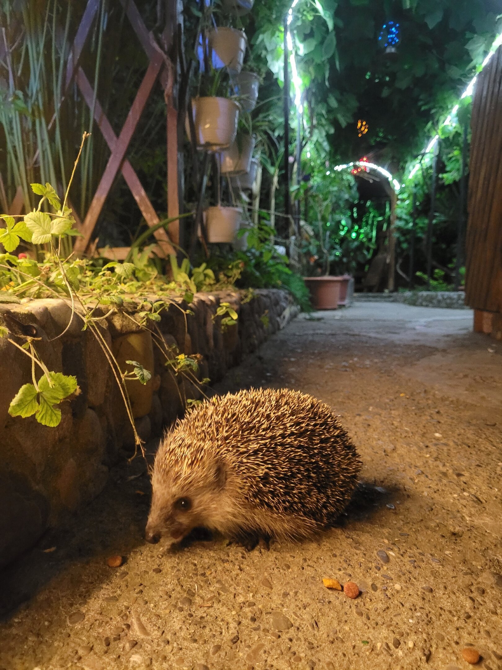 Фото Лазурный залив