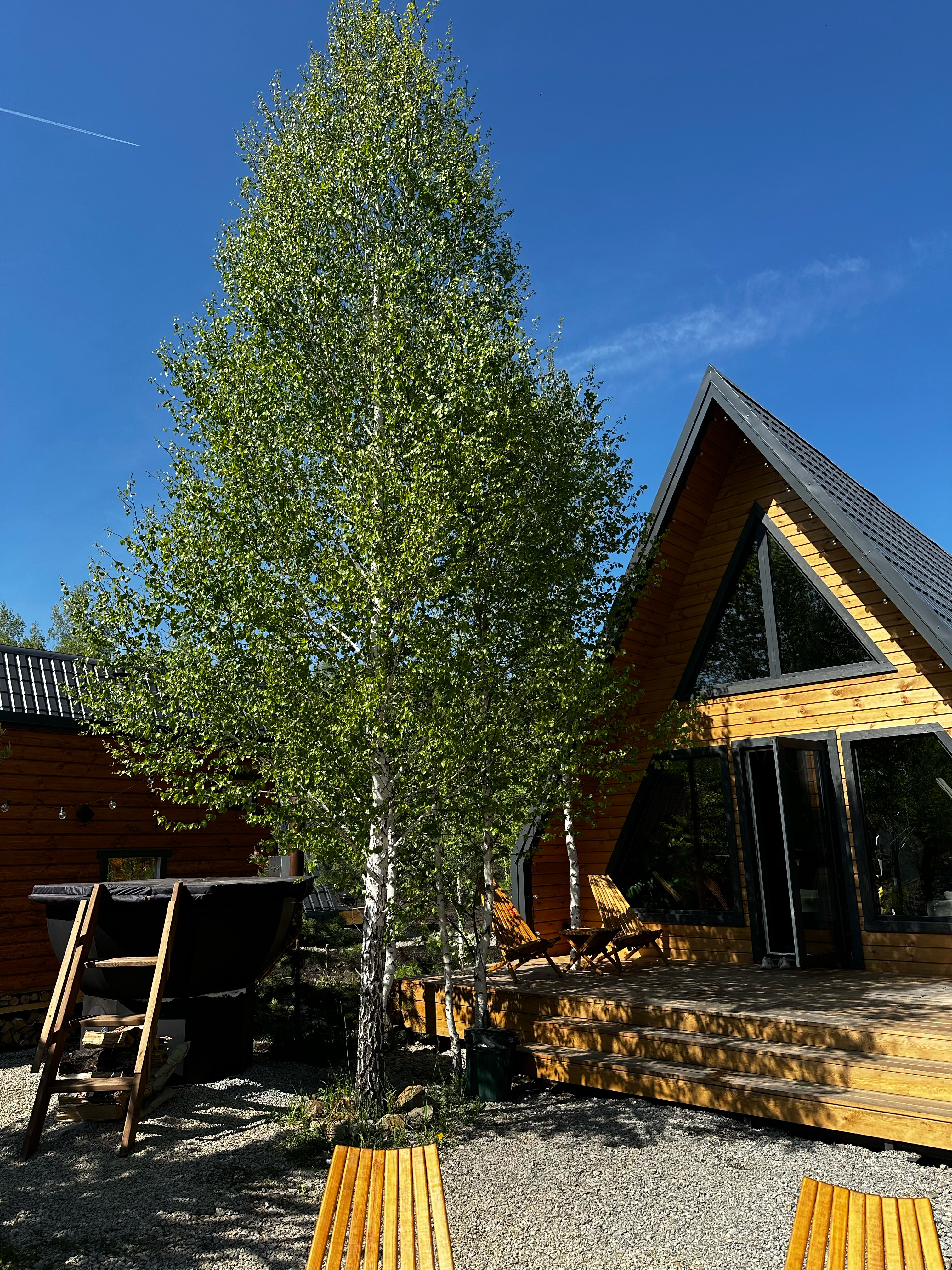 Фото ZastavaVillage