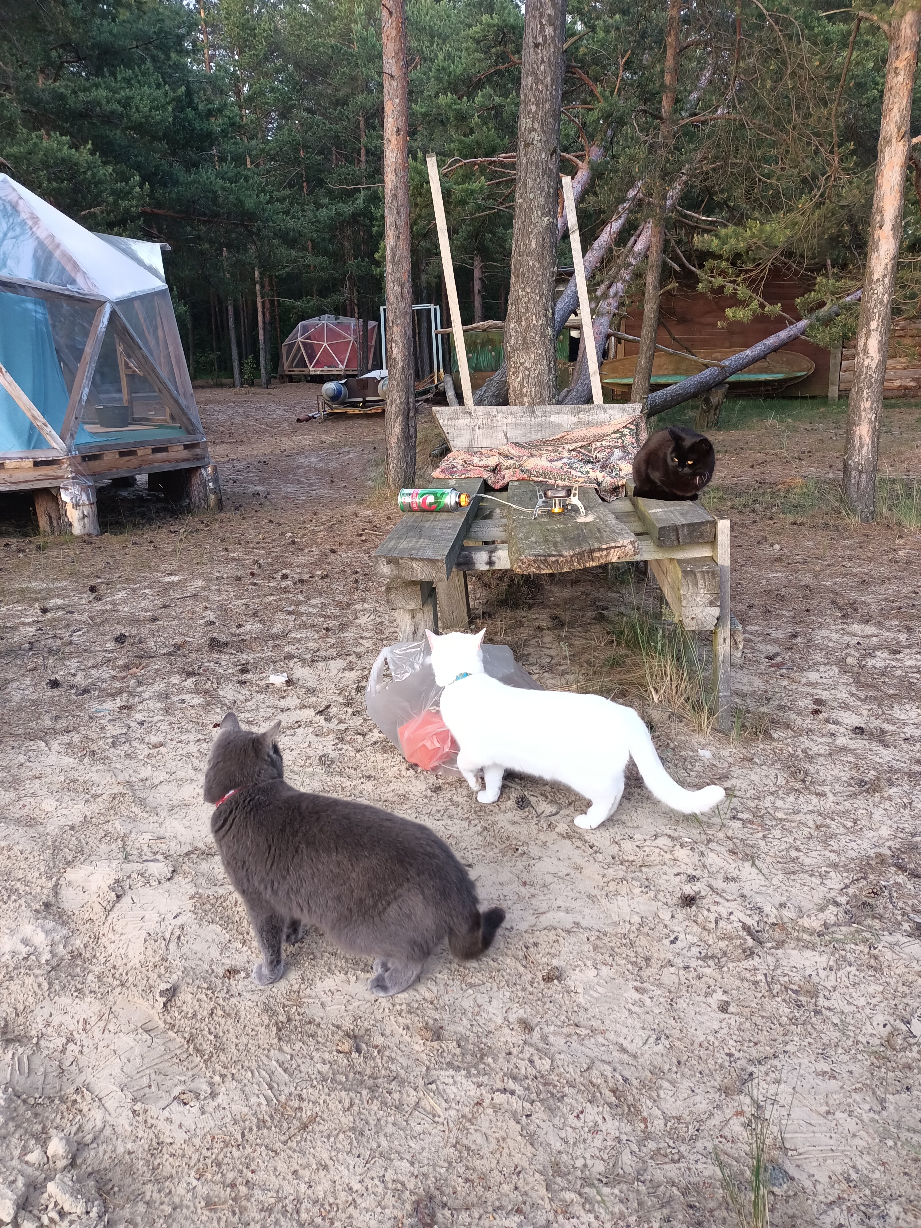 Фото Wind hunters station