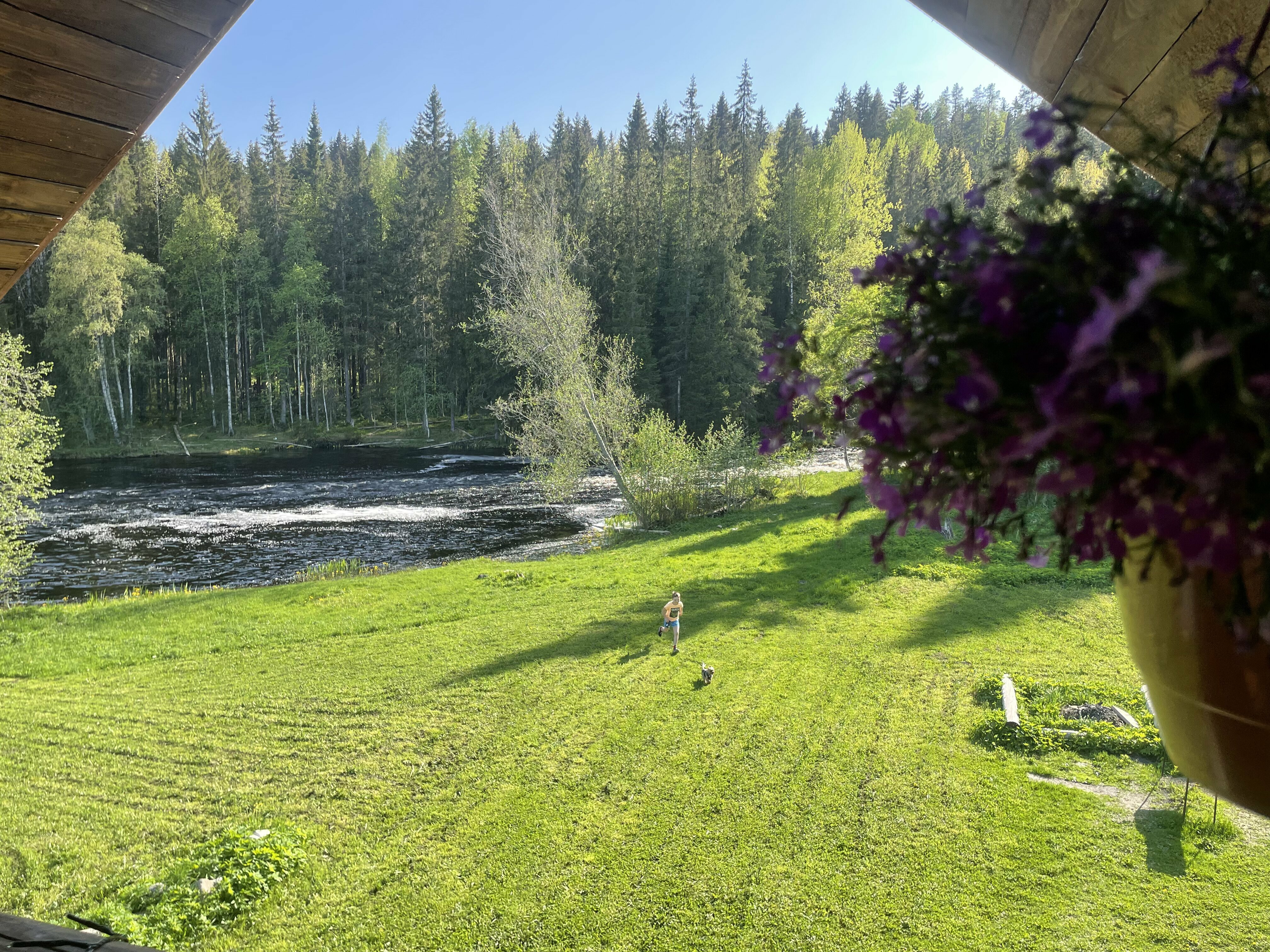 Фото Дом и река