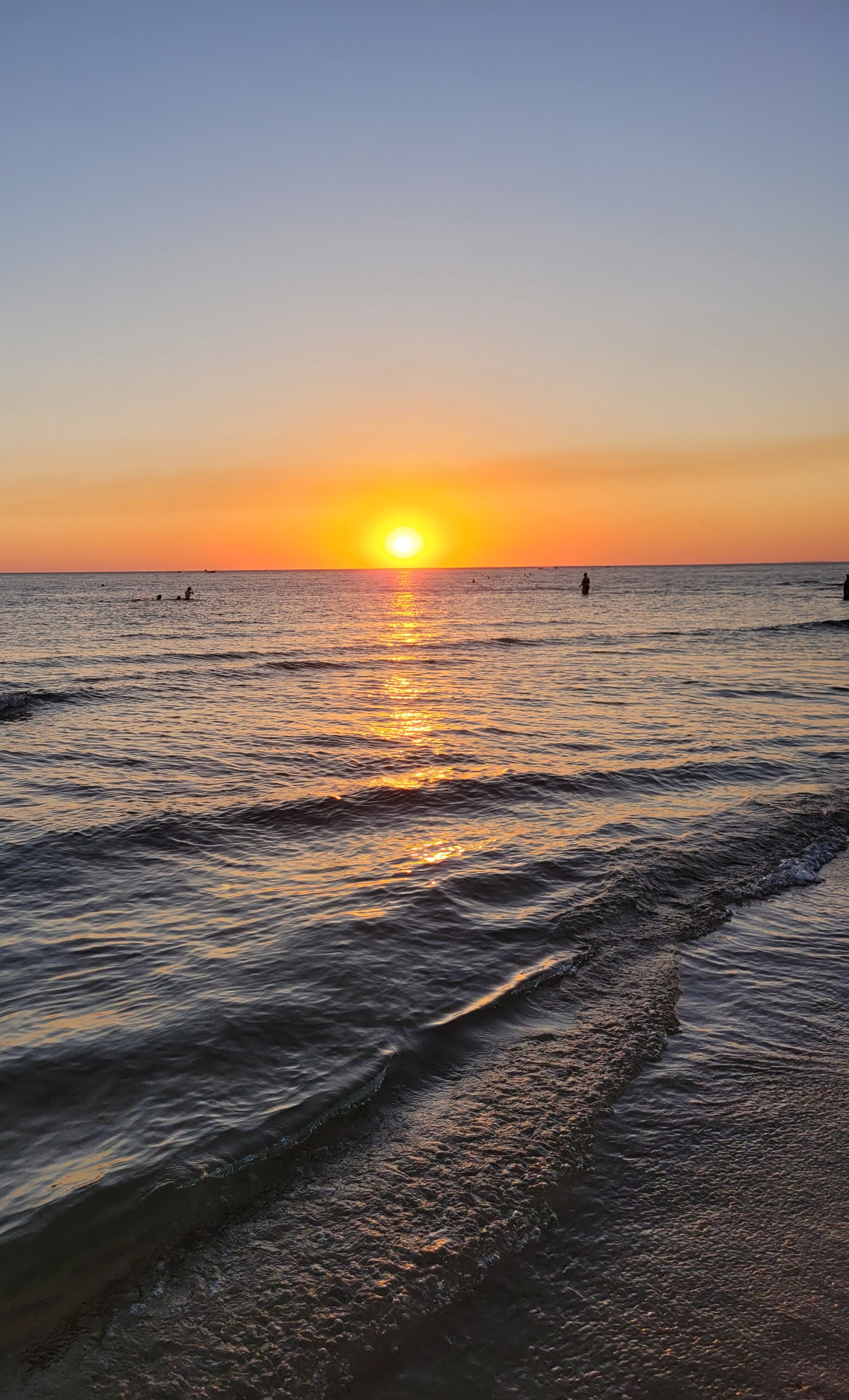 Фото Березка