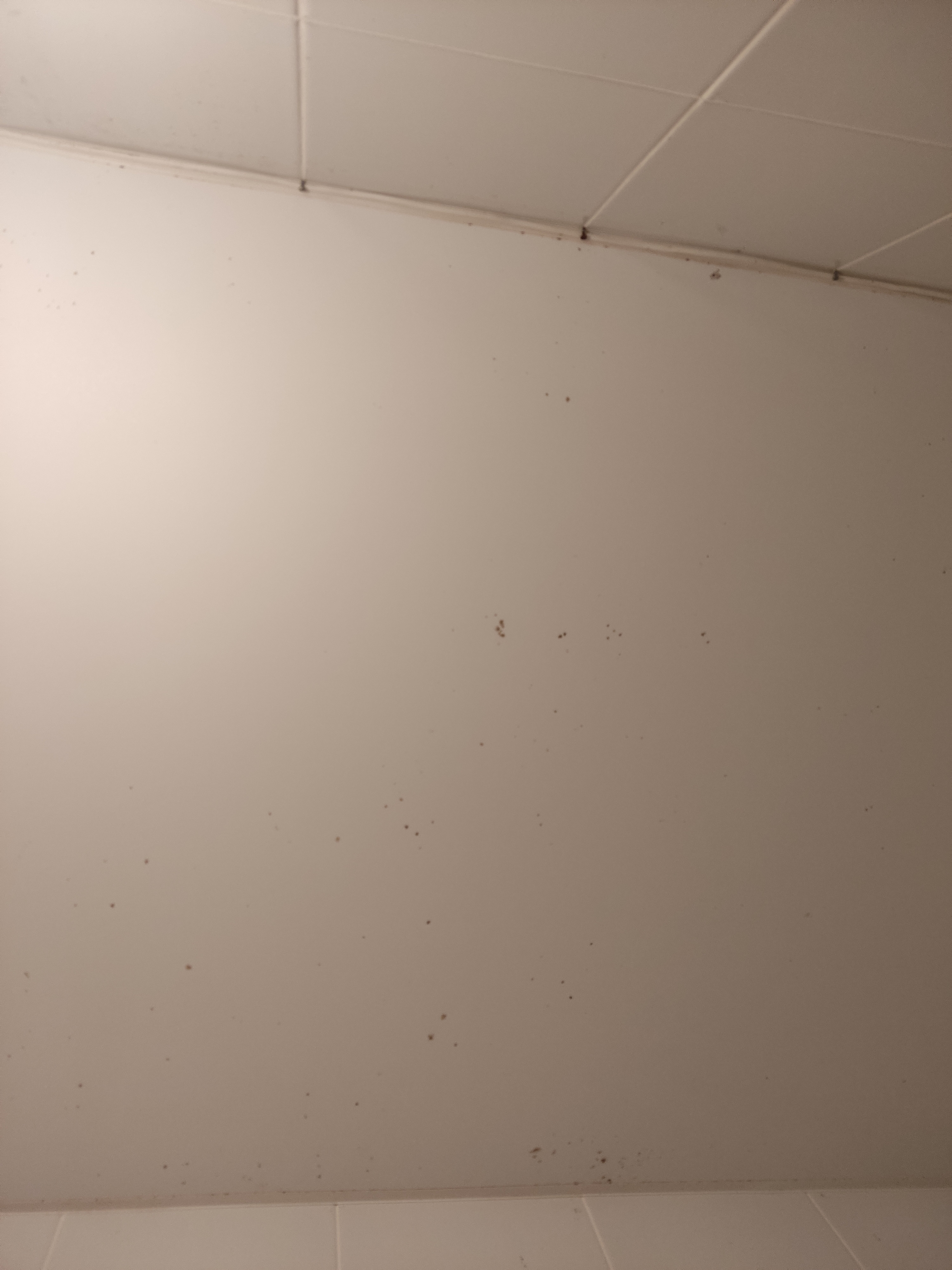 Фото WhiteNight на Фонтанке