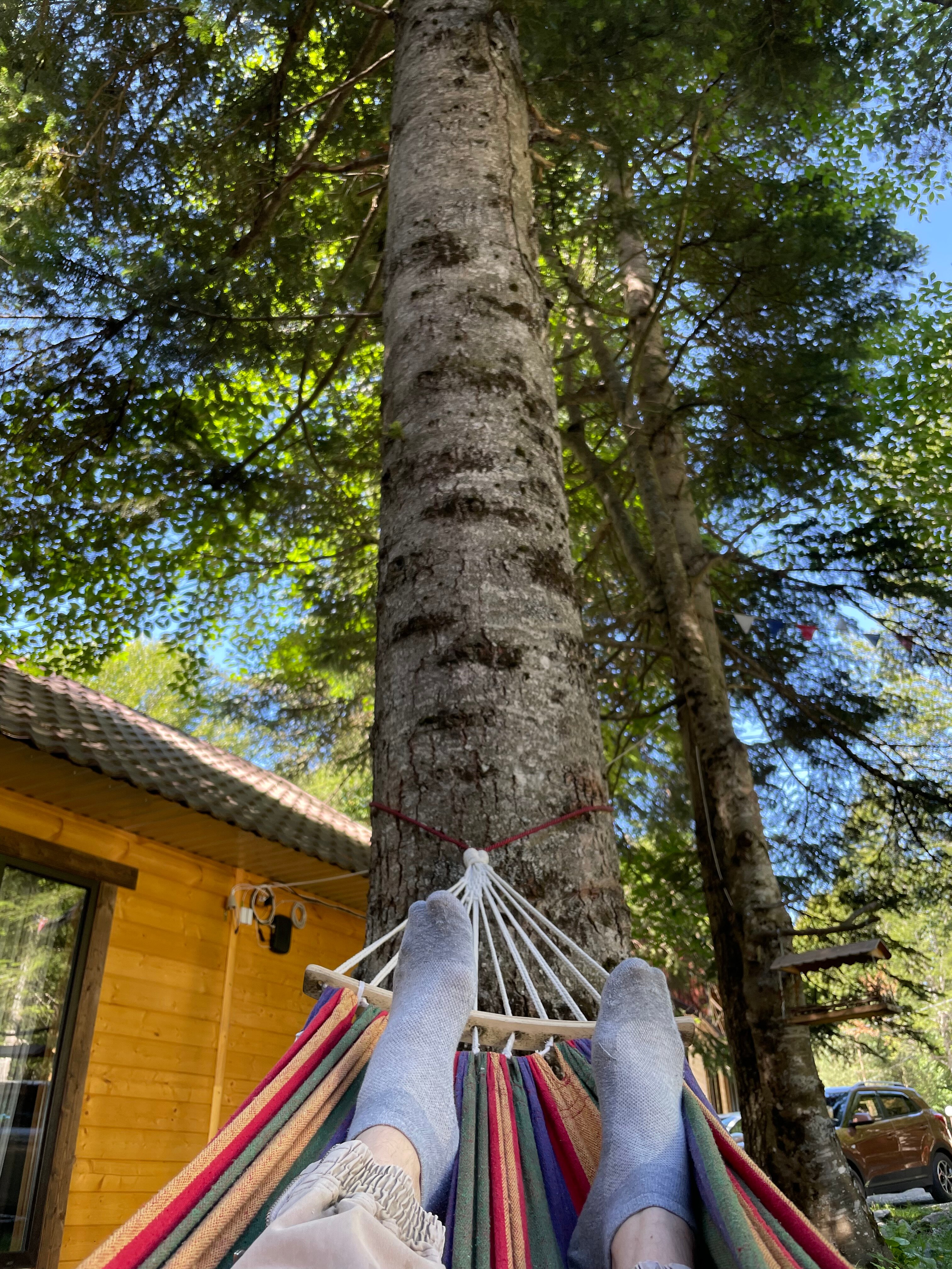 Фото Тур-домики Поляна Зубров