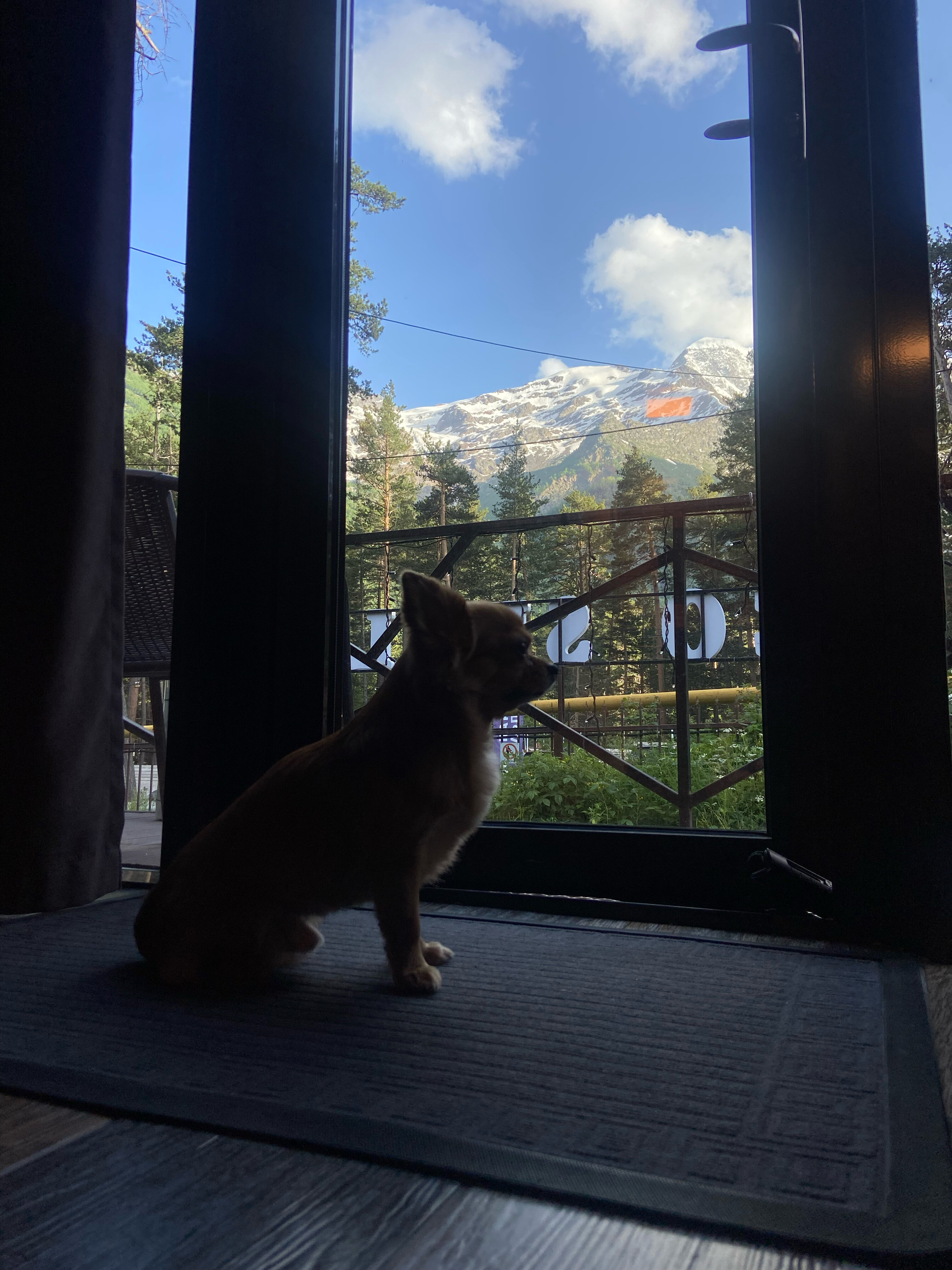 Фото Eco Shale Чегет