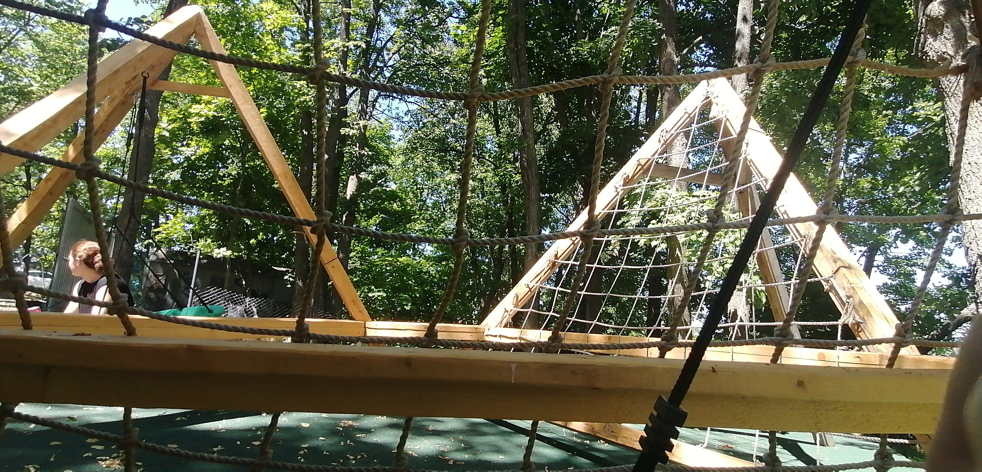 Фото В Лес Афрейм