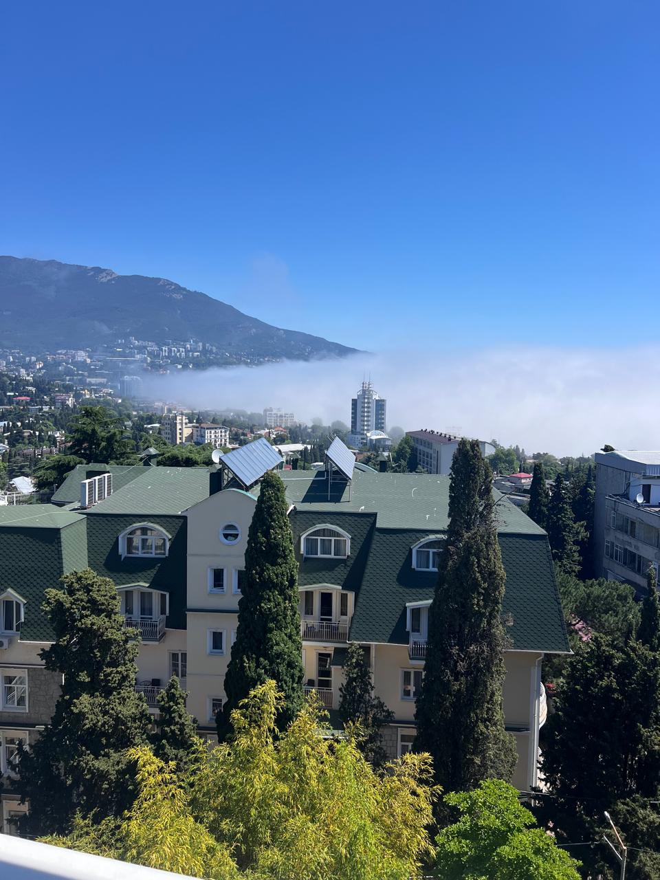 Фото Чайная горка