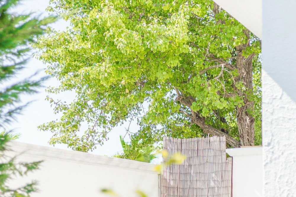 Фото Villa Del Pero