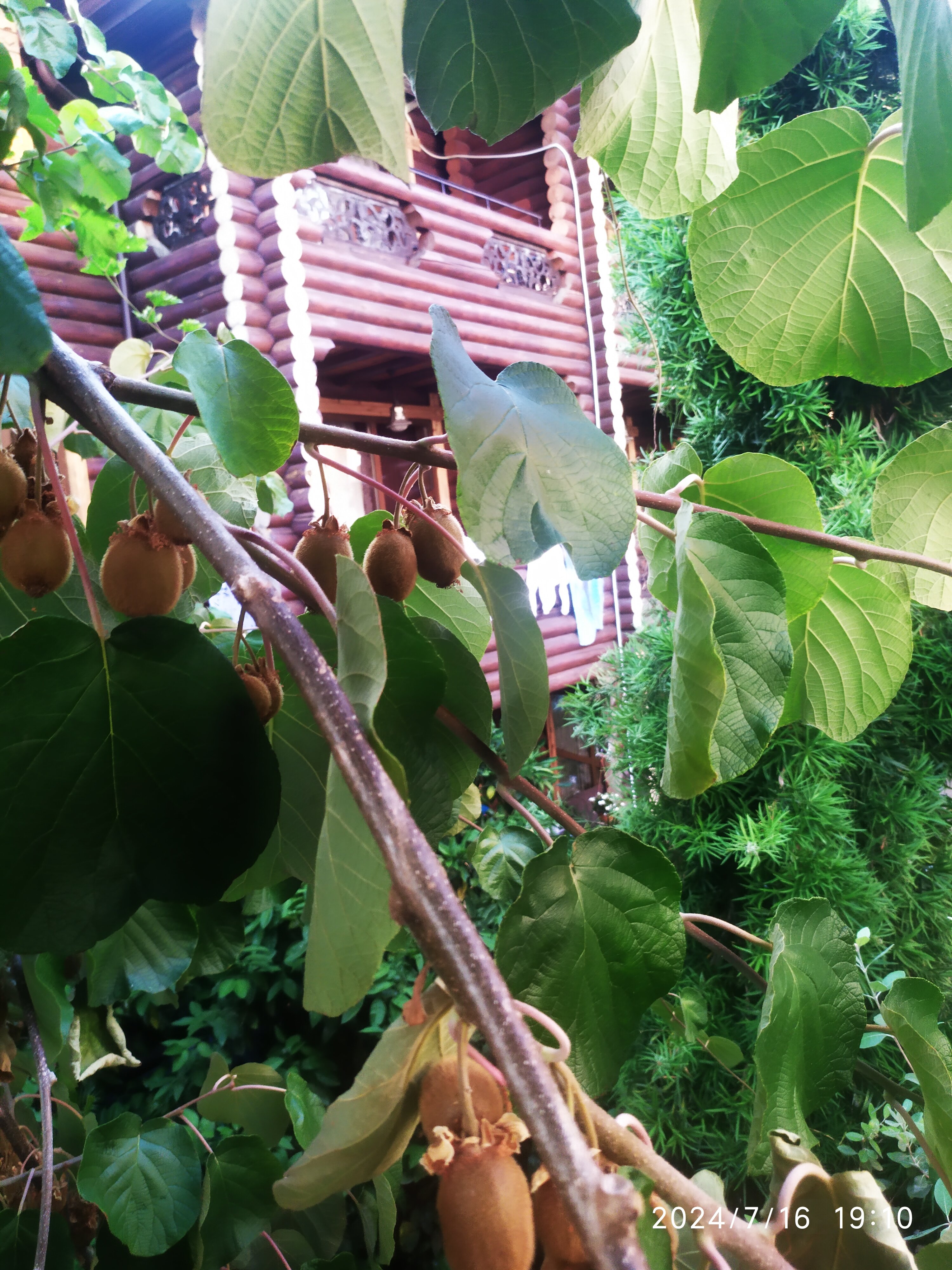 Фото Форт Артур