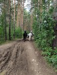 Дозор (Yekaterinburg, 50), horse riding