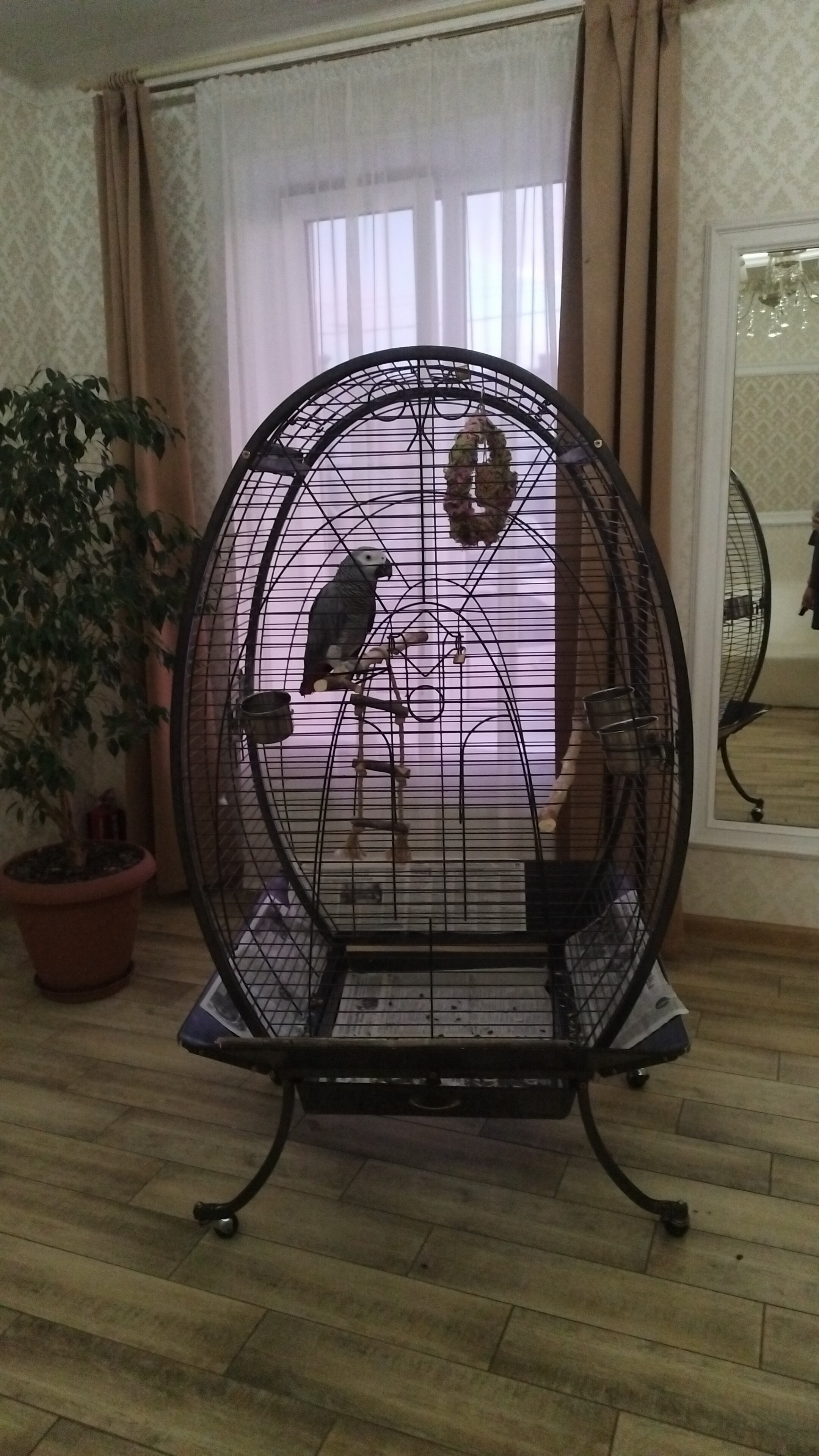 Фото НекрасовЪ