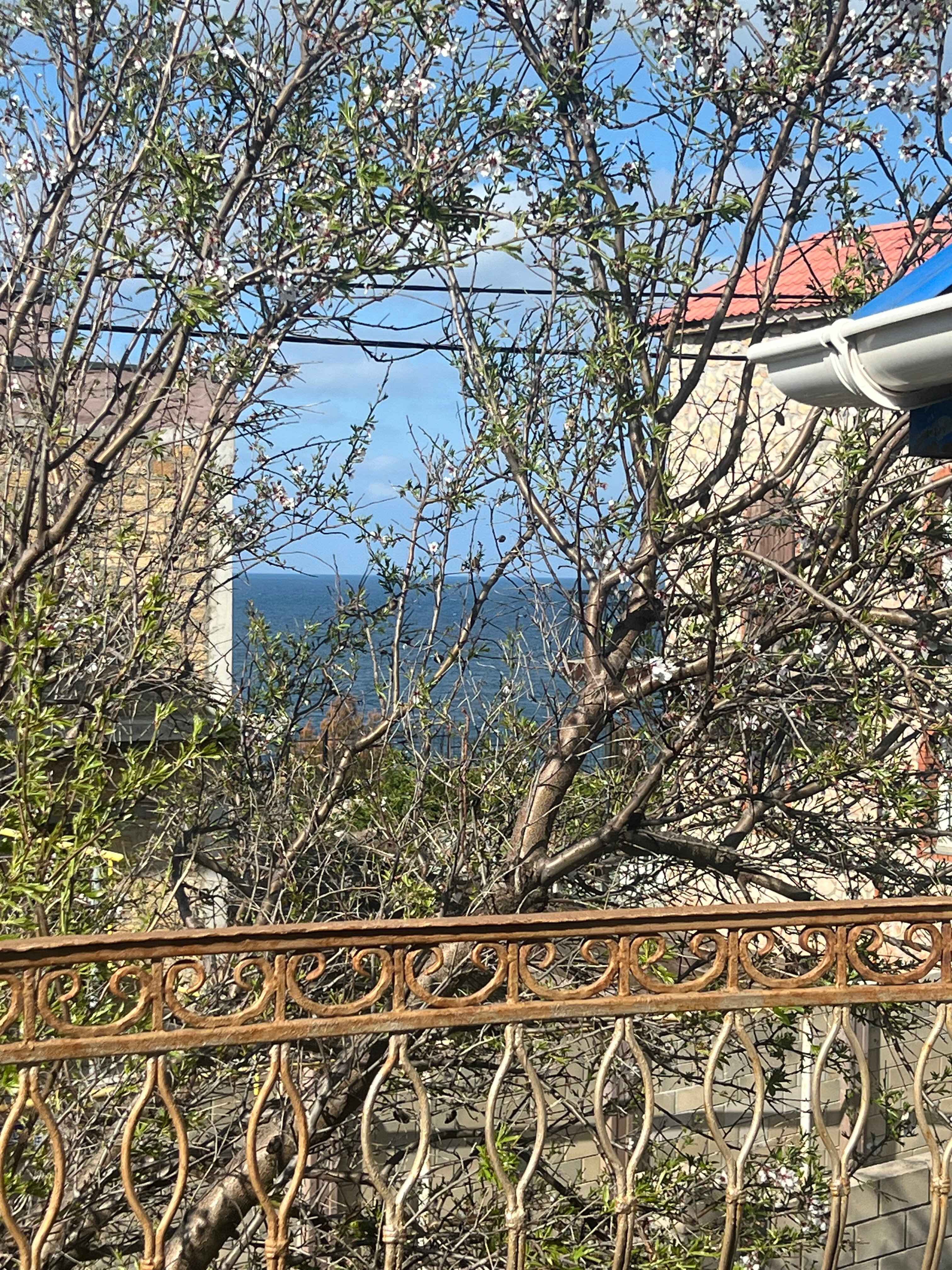 Фото Моремания