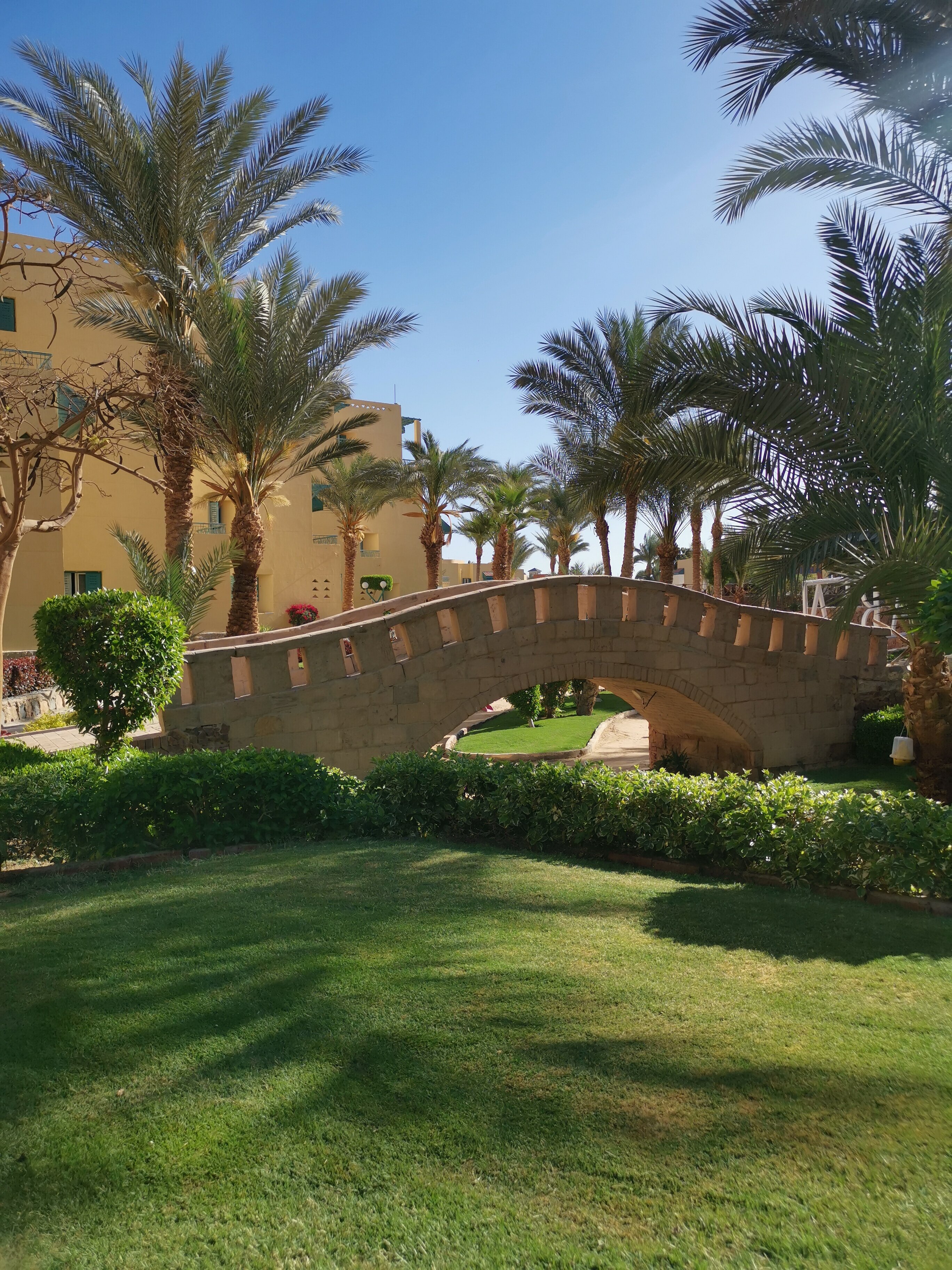 Фото Eagles Downtown Zahabia & Beach Resort