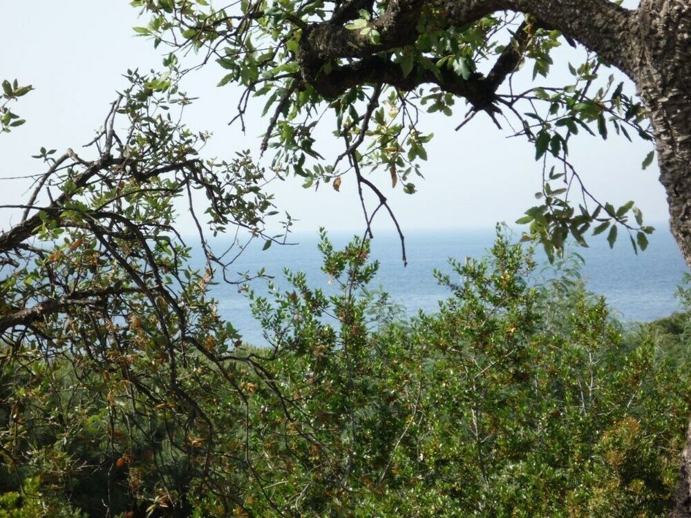 Фото Villa Colle Lido