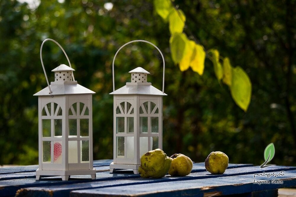 Фото Отель Lopota Gate