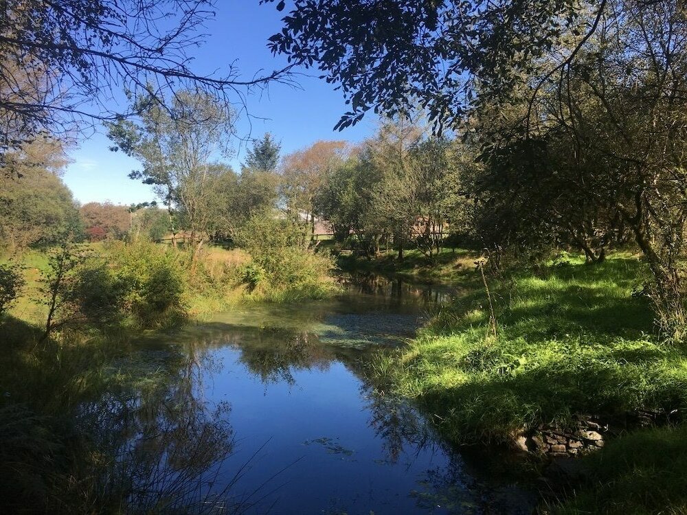 Фото Brynllwyd Glamping