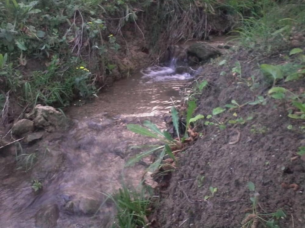 Фото Casa Siciliana Altarbiah