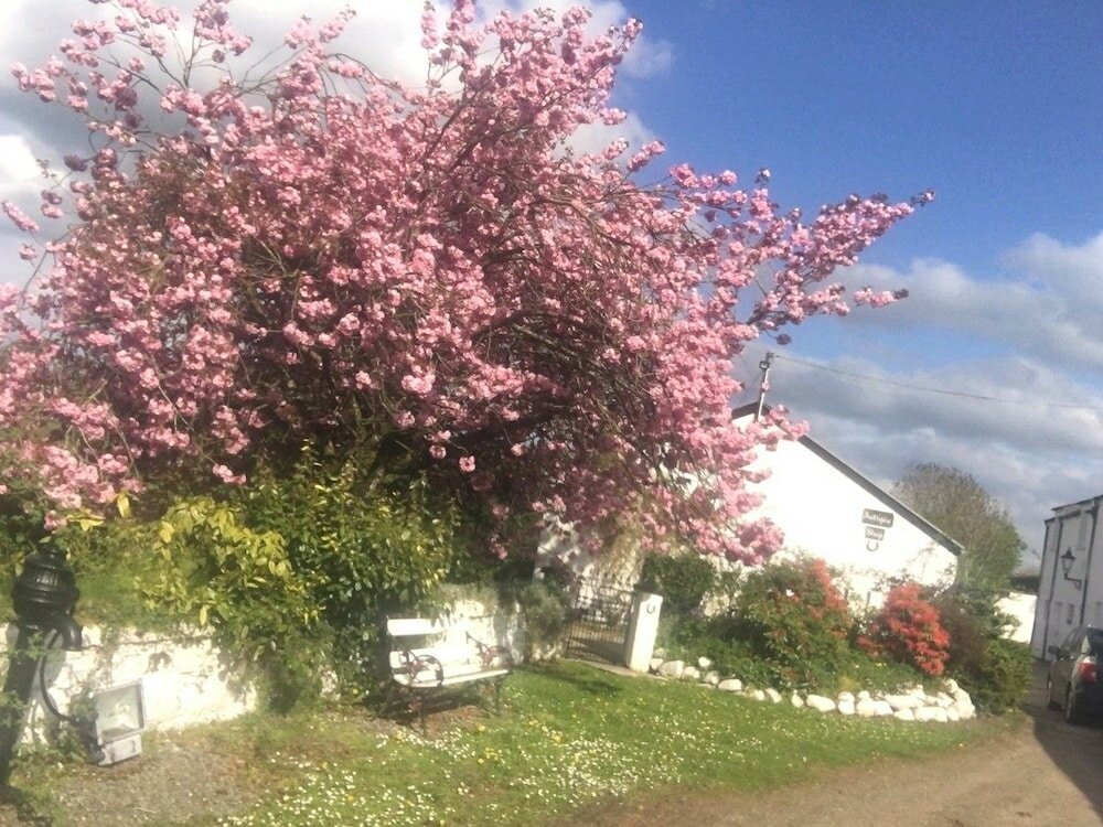 Фото Kingsmills Cottages Cookstown