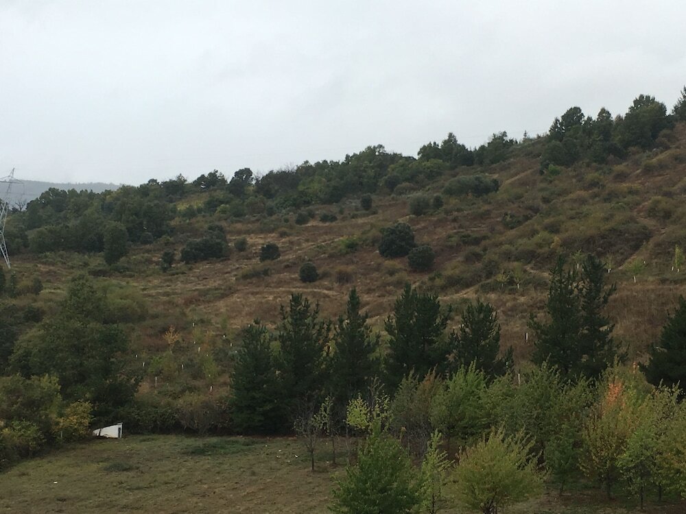 Фото NRuta Ponferrada