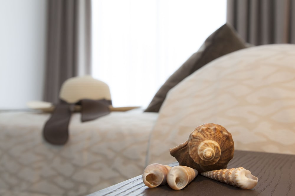 Фото Hotel Greif