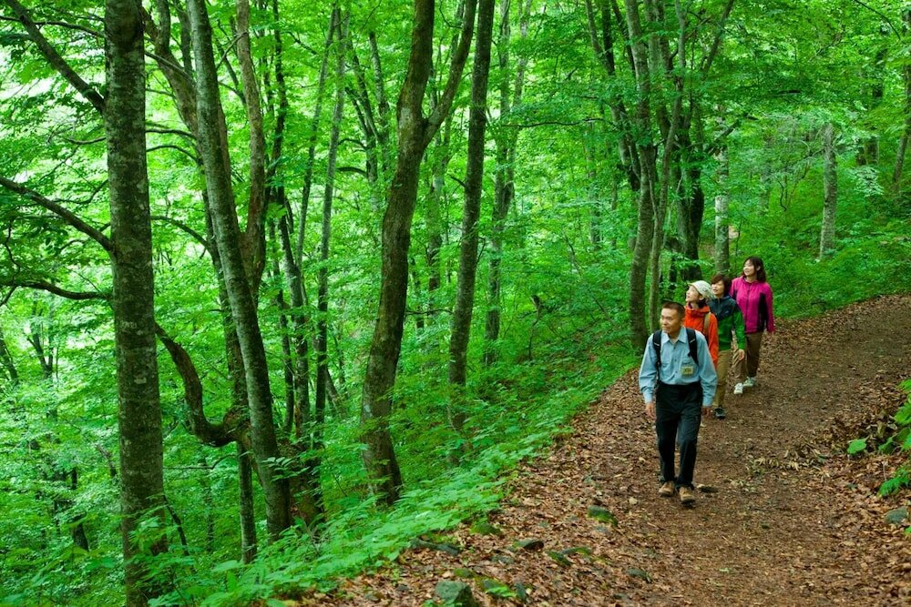 Фото Bunano Sato Shirakamikan