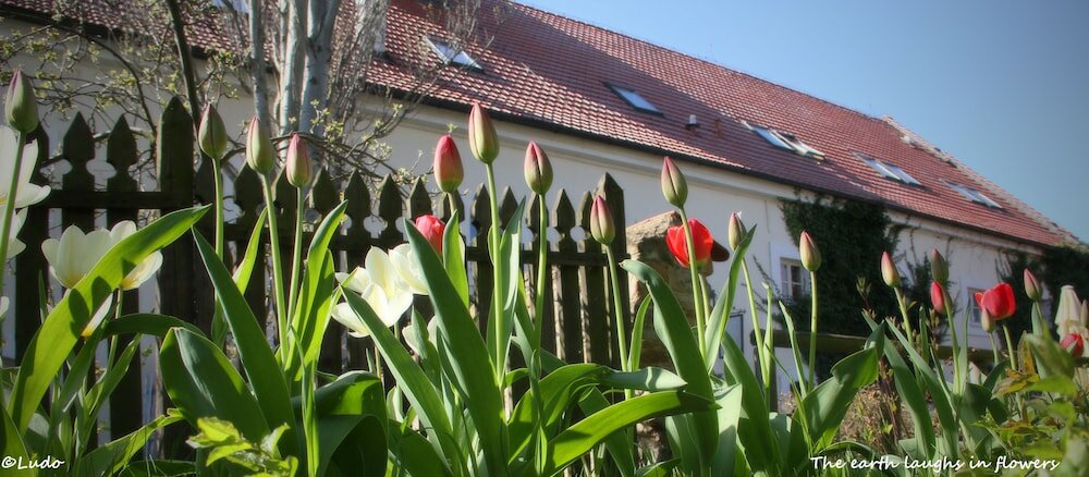 Фото Auberge de Provence