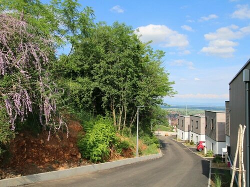 Гостиница Terrasses D'alsace