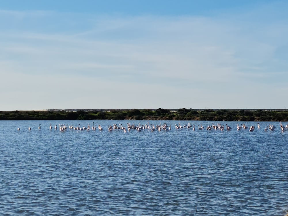 Фото Sunlight House