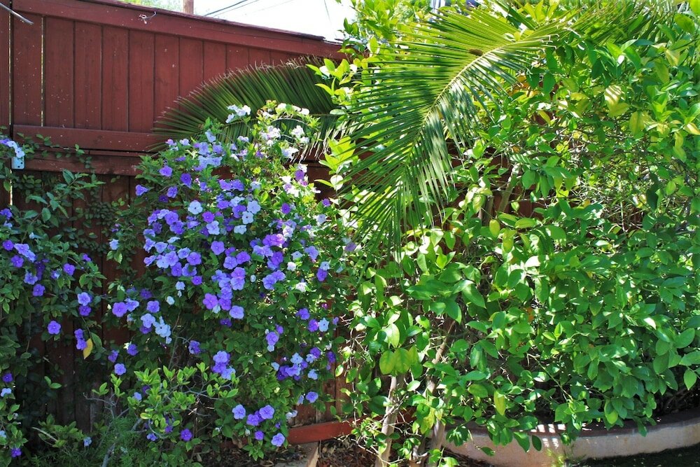 Фото Sweet Dreams B&b