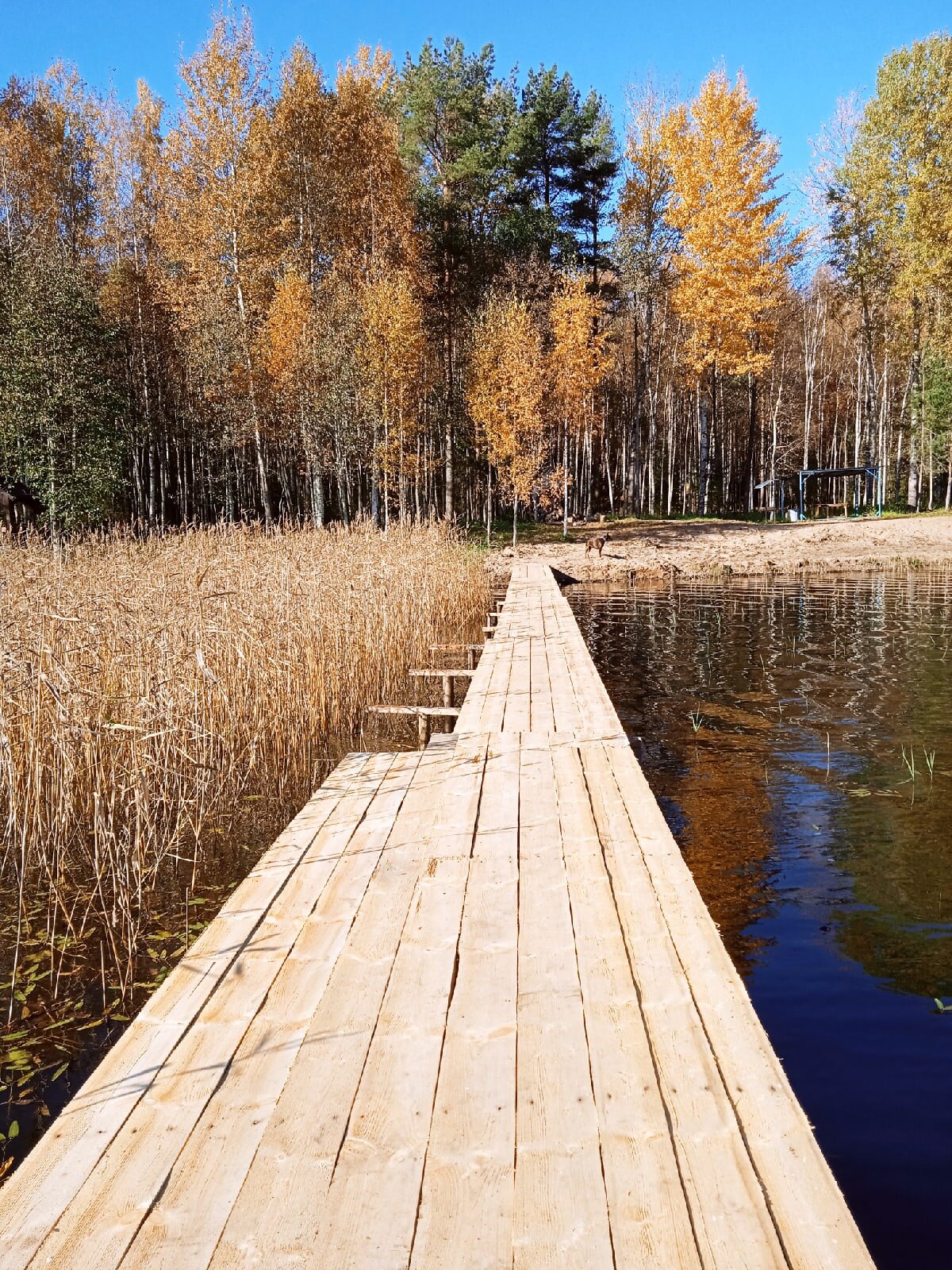 Фото Коломно