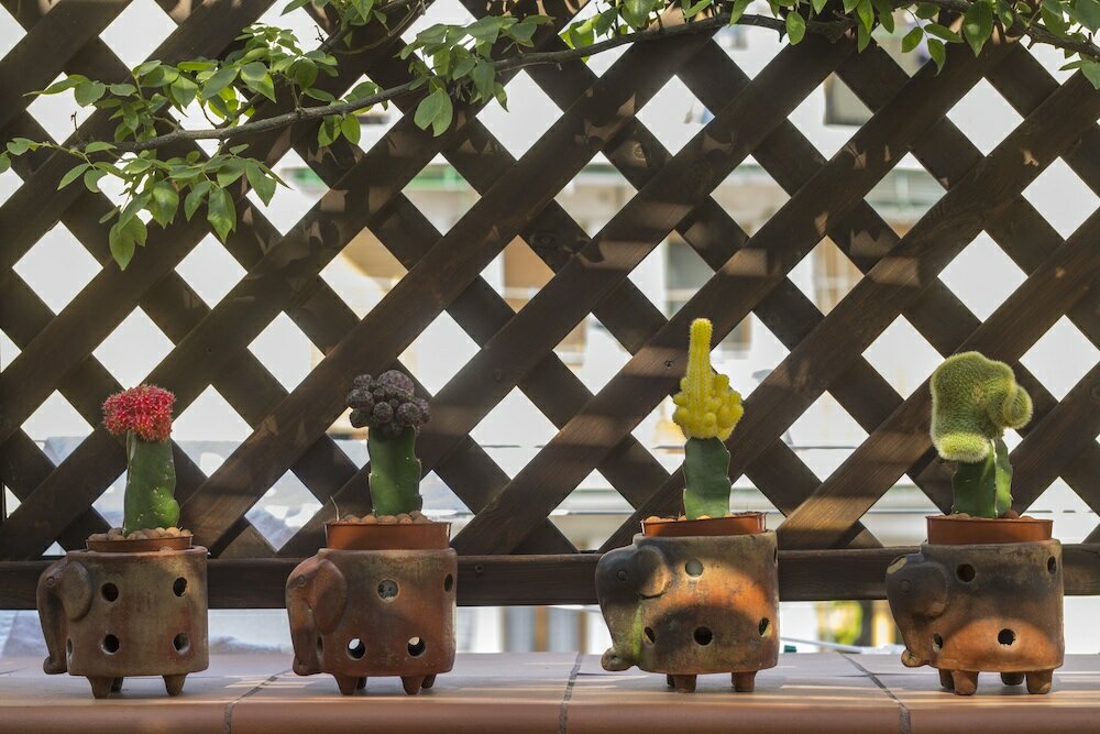 Фото B&b Cerasiello