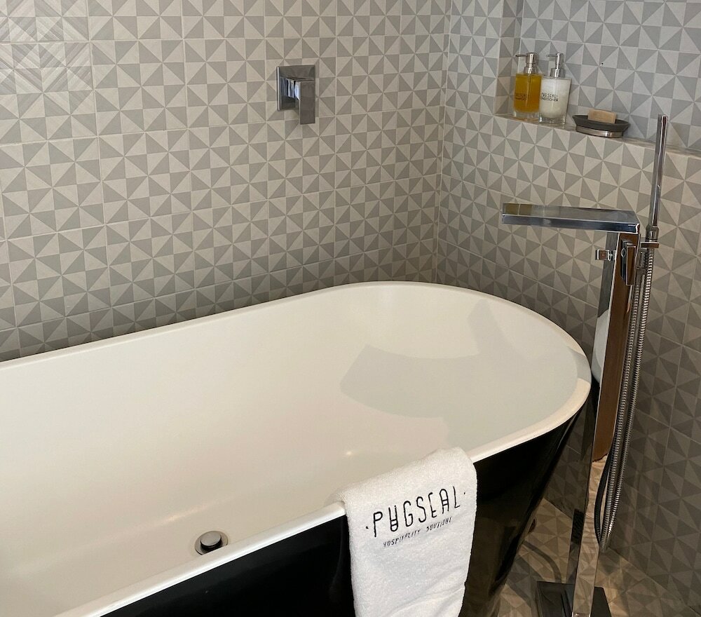 Фото Pug Seal Polanco Allan Poe