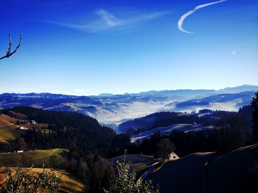 Фото Boutique Hotel Moosegg